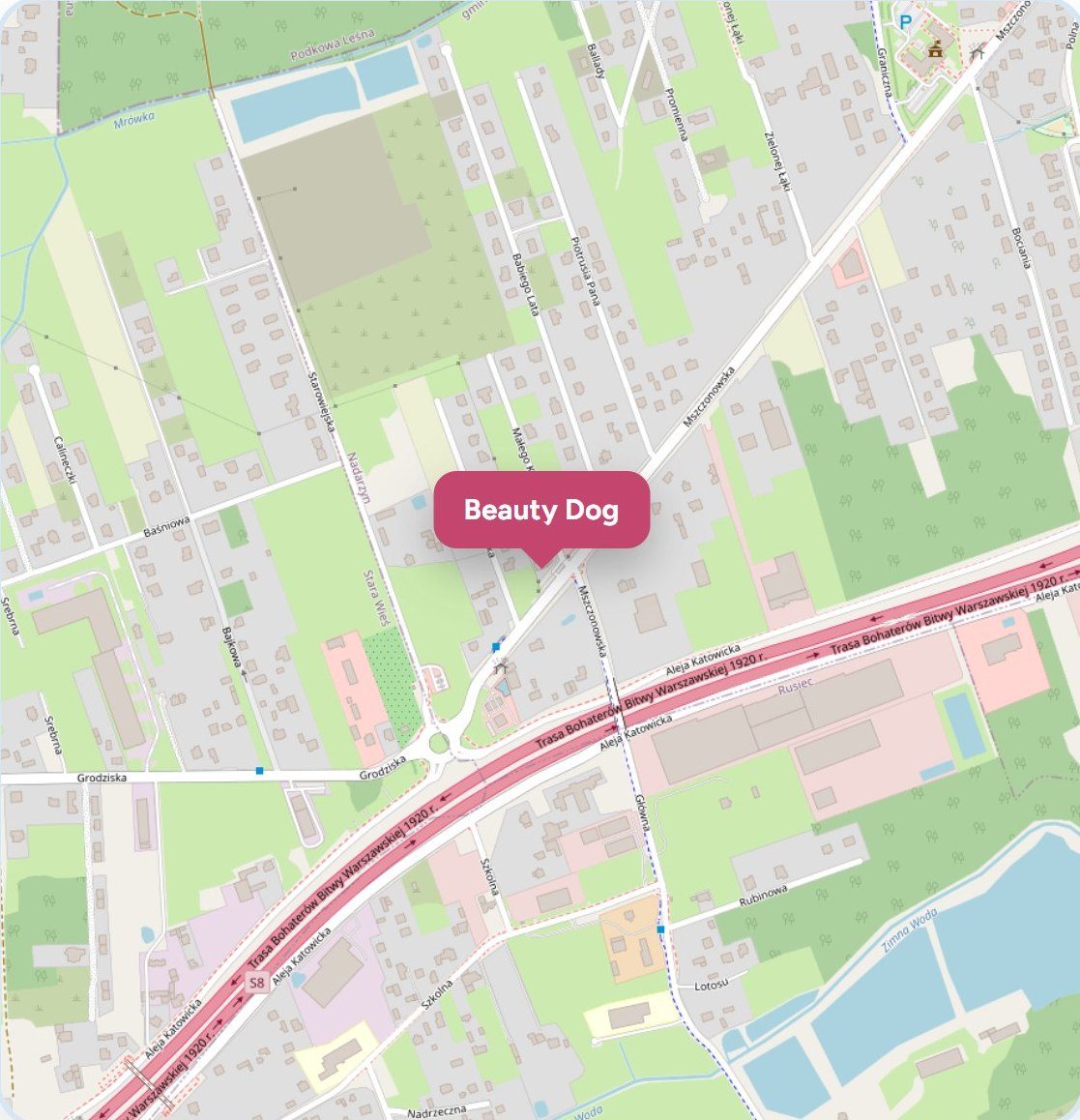 Mapa: ul. Mszczonowska 58b, Nadarzyn